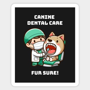 Veterinary Dentistry Magnet